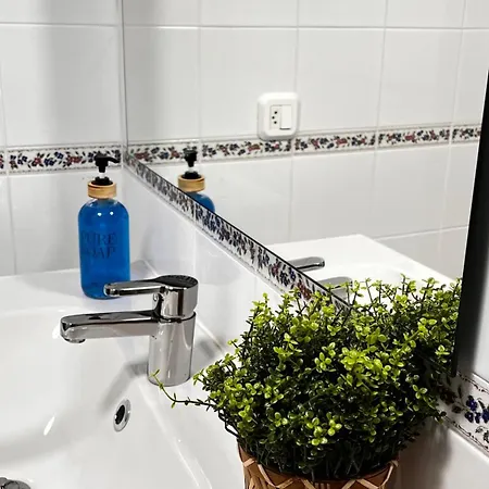 Encantador Enlosado De Balborraz * Zamora