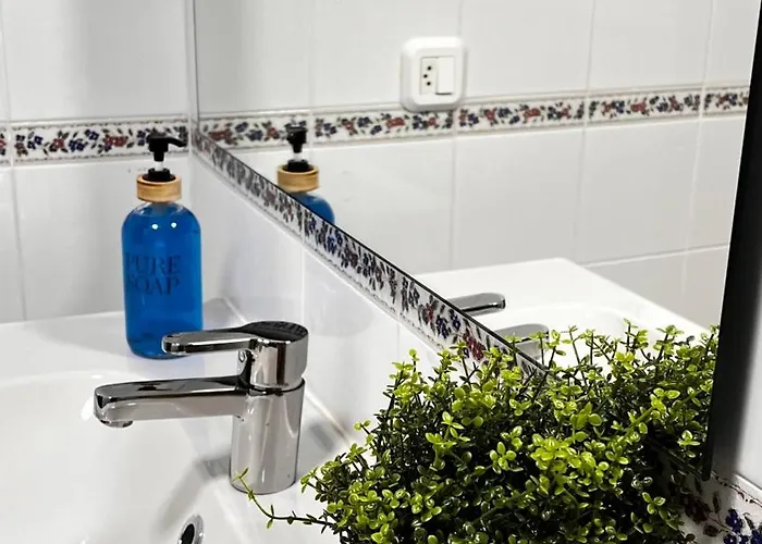 Encantador Enlosado De Balborraz * Zamora